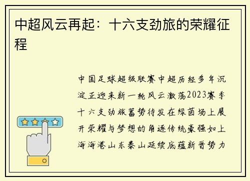 中超风云再起：十六支劲旅的荣耀征程